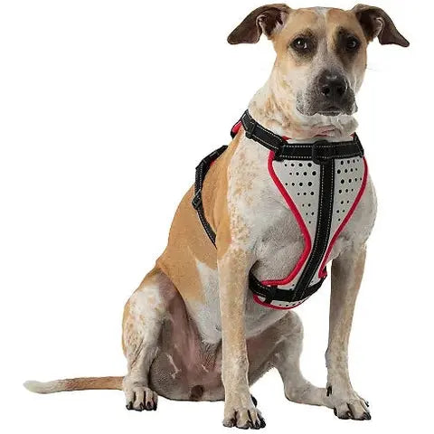 NATHAN REFLECTIVE DOG HARNESS NATHAN