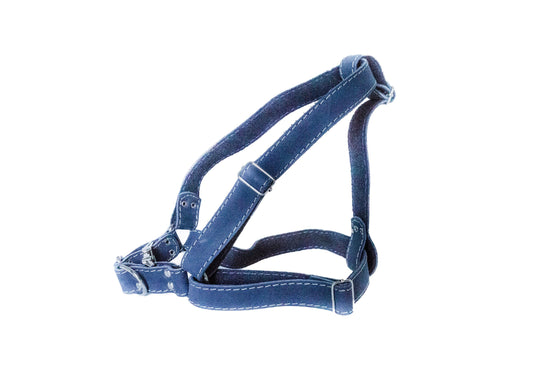 Step In Leather Dog Harness Euro-Dog Collars and Leads