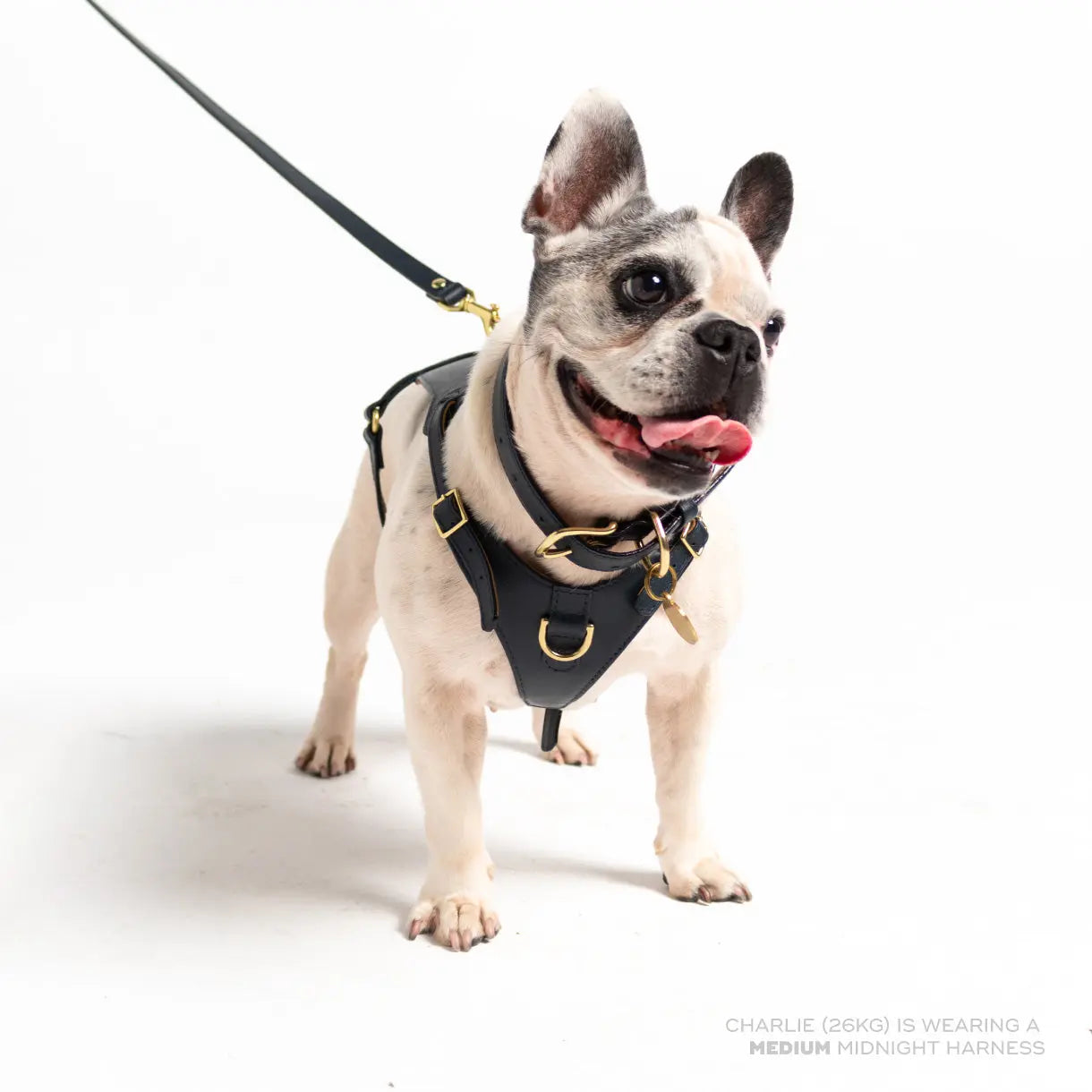 Midnight Heritage Harness Ramona For You