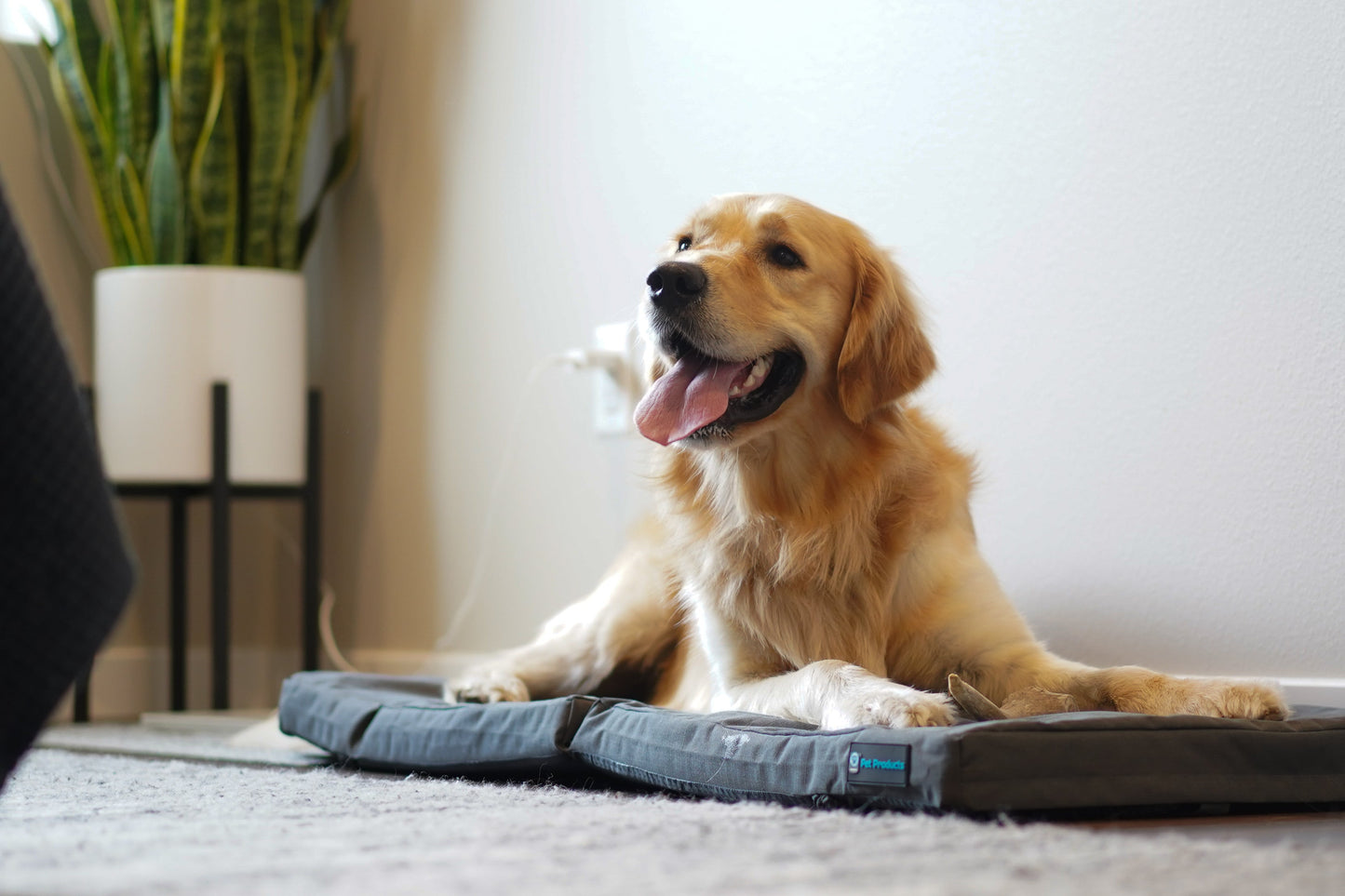 Restore+ Double Dog Bed Blue-9 Pet Products