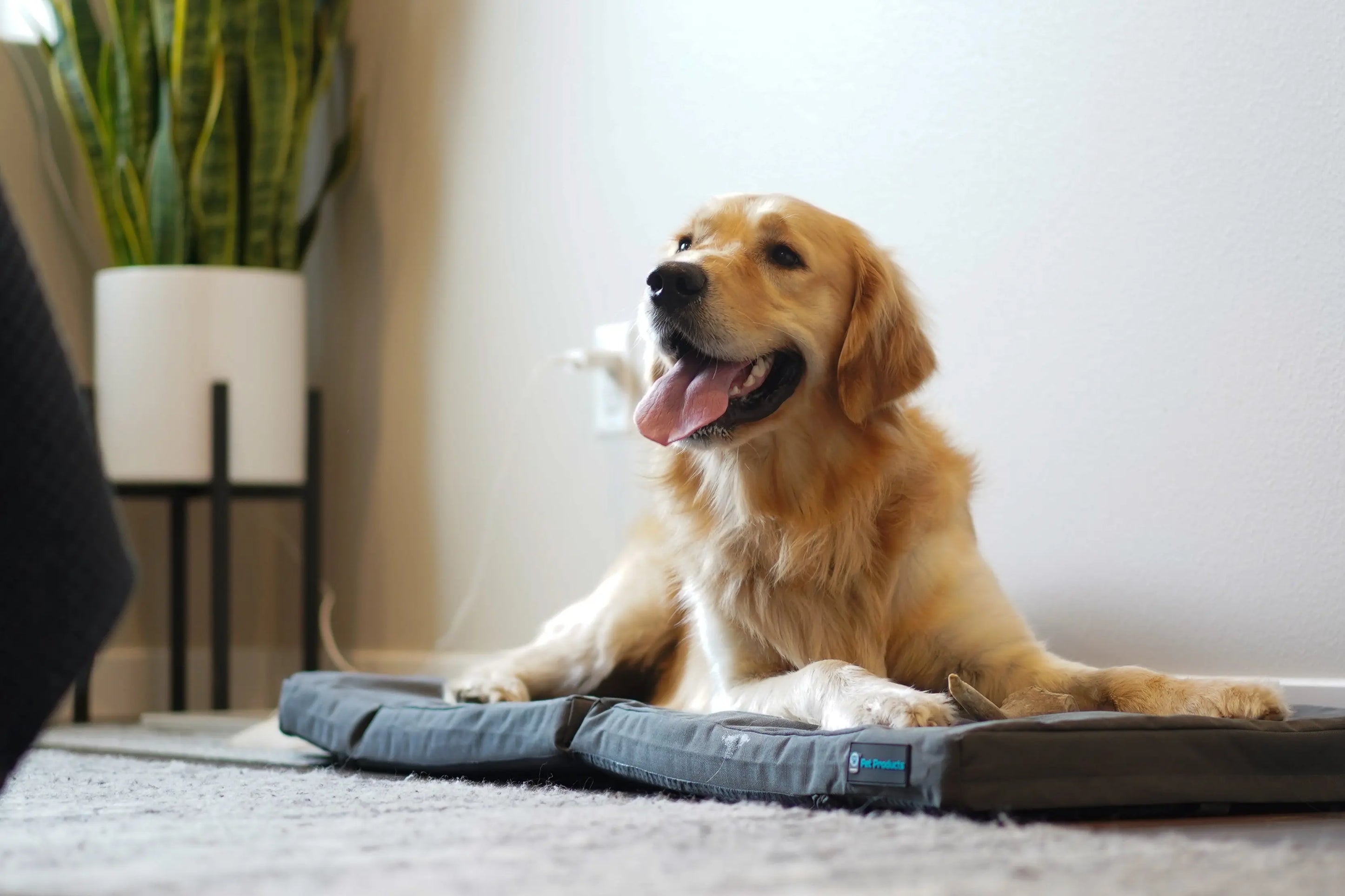 Restore+ Double Dog Bed Blue-9 Pet Products