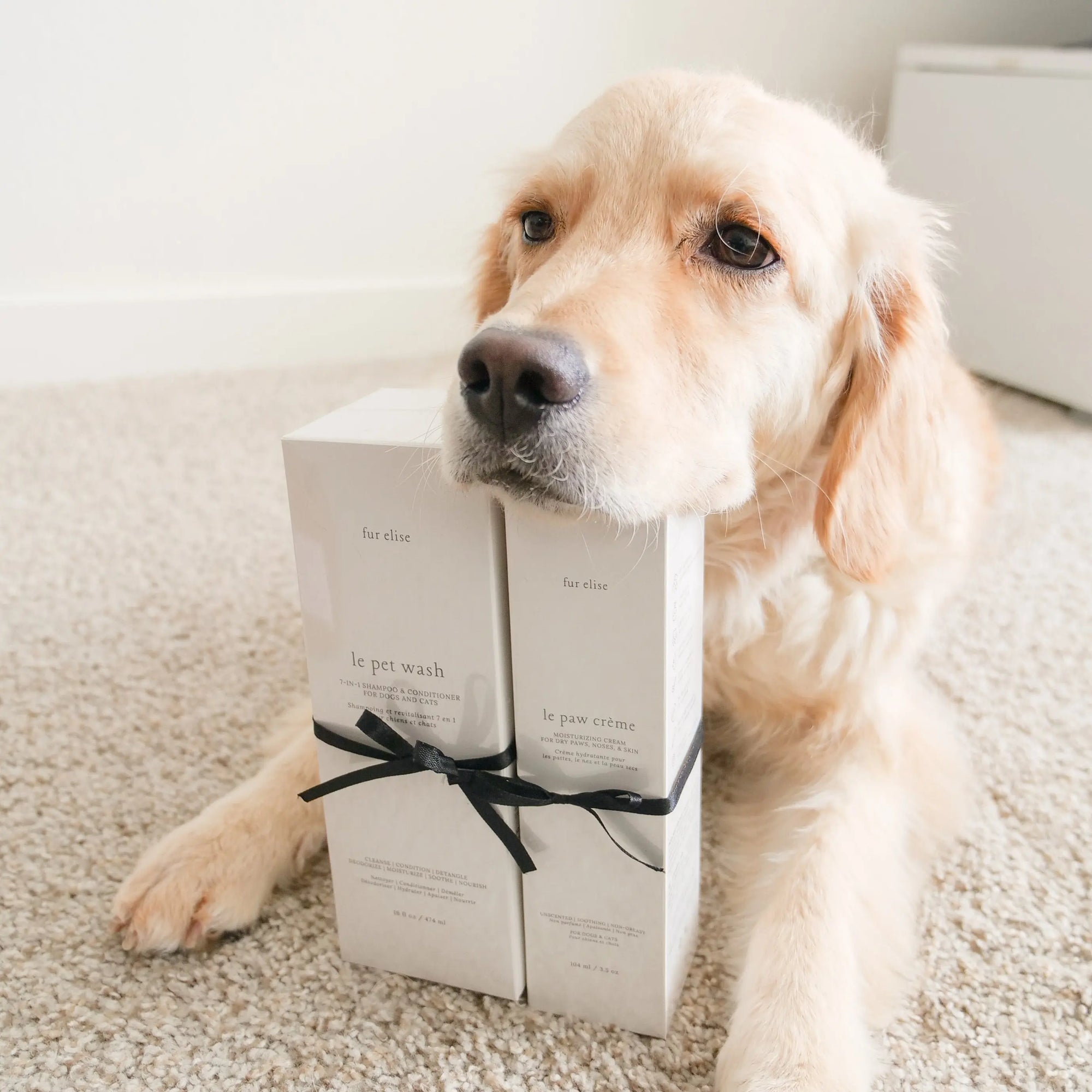 Fur Elise Le Pawsh Set