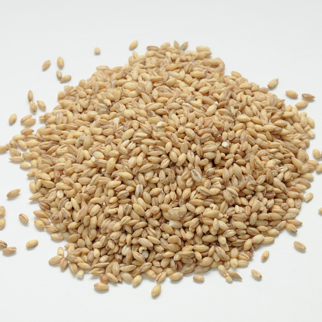 Whole Grain Original Happy Dog Food