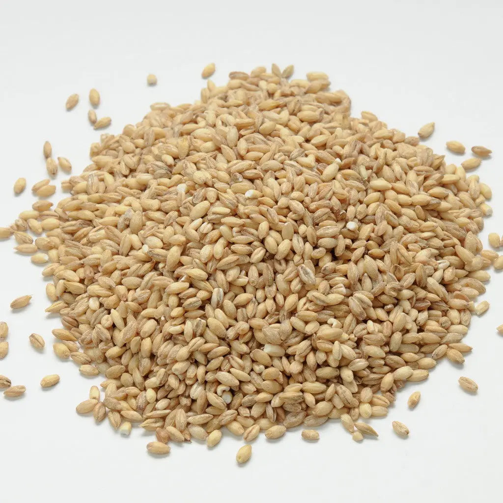 Whole Grain Original Happy Dog Food