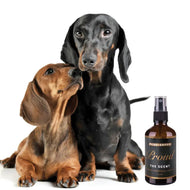 PROUD Signature Scent