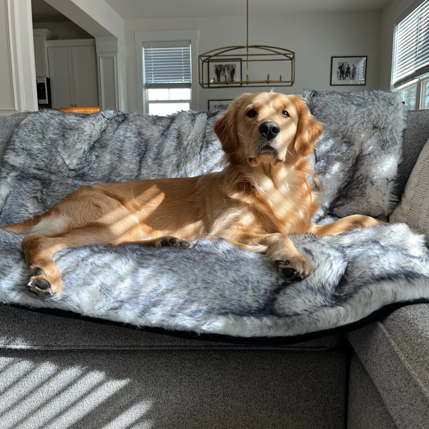 PupProtector™ Luxe Waterproof Faux Fur Blanket - Ultra Plush Arctic Fox Paw.com