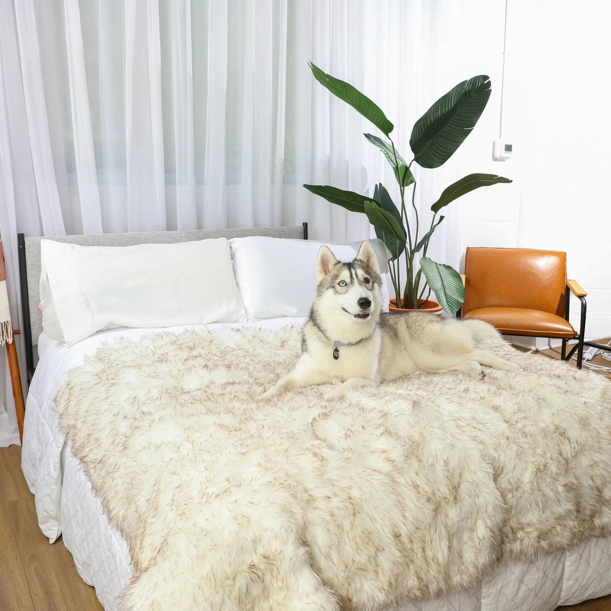 PupProtector™ Waterproof Throw Blanket - White with Brown Accents Paw.com