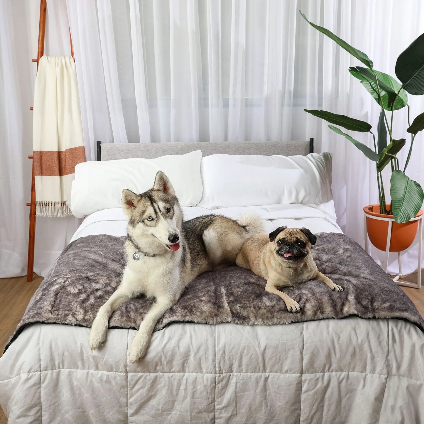 PupProtector™ Luxe Waterproof Bed Runner - Ultra Soft Chinchilla Paw.com