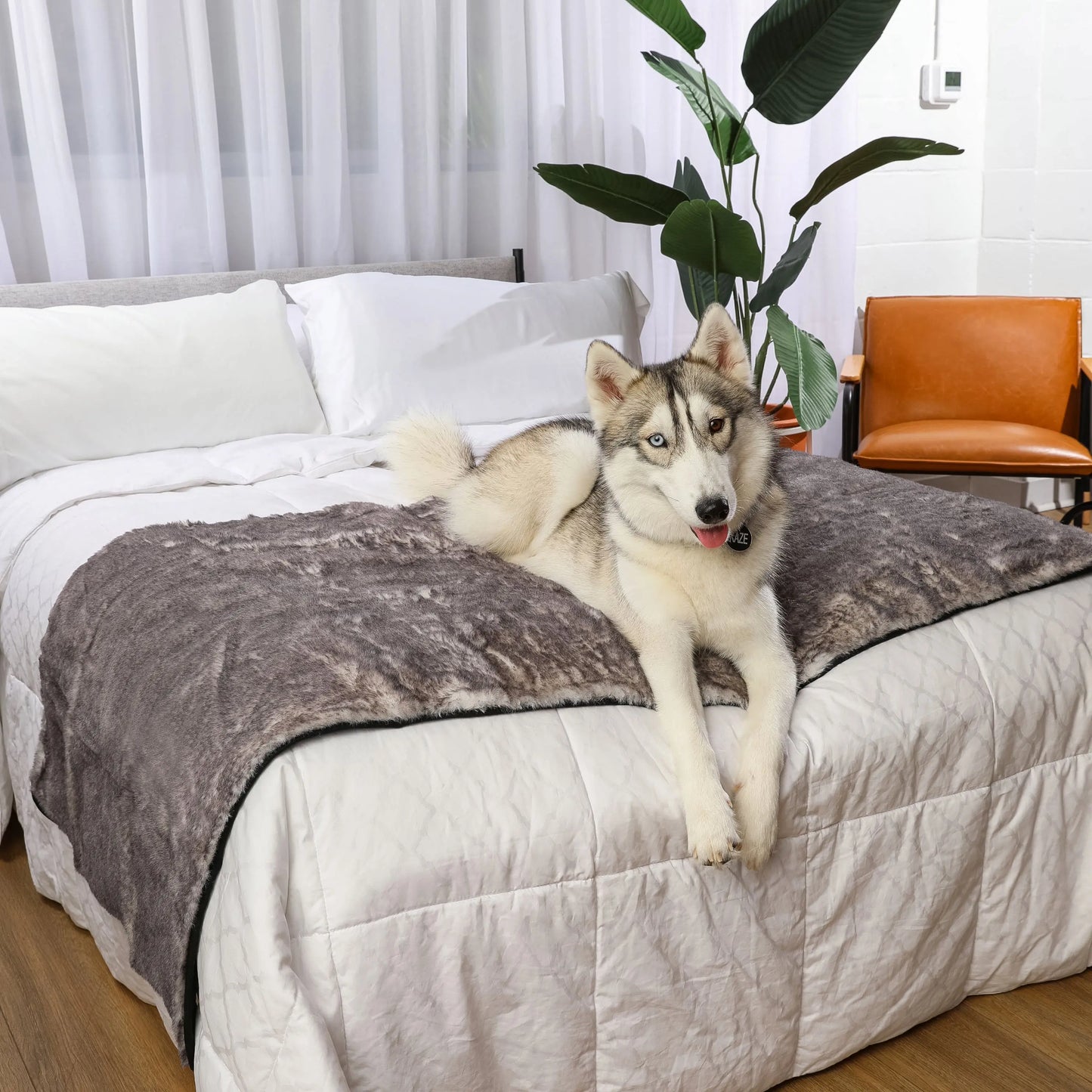 PupProtector™ Luxe Waterproof Bed Runner - Ultra Soft Chinchilla Paw.com