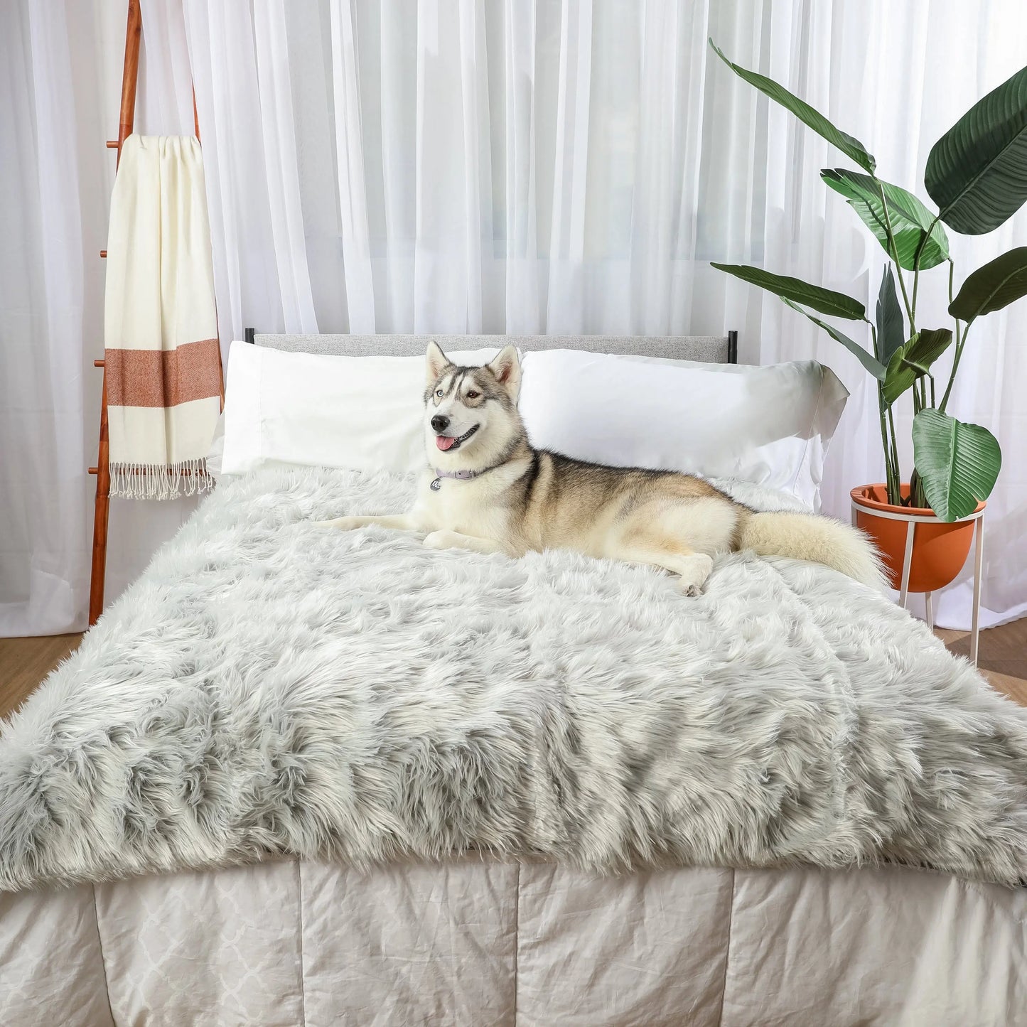 PupProtector™ Waterproof Throw Blanket - Grey Paw.com