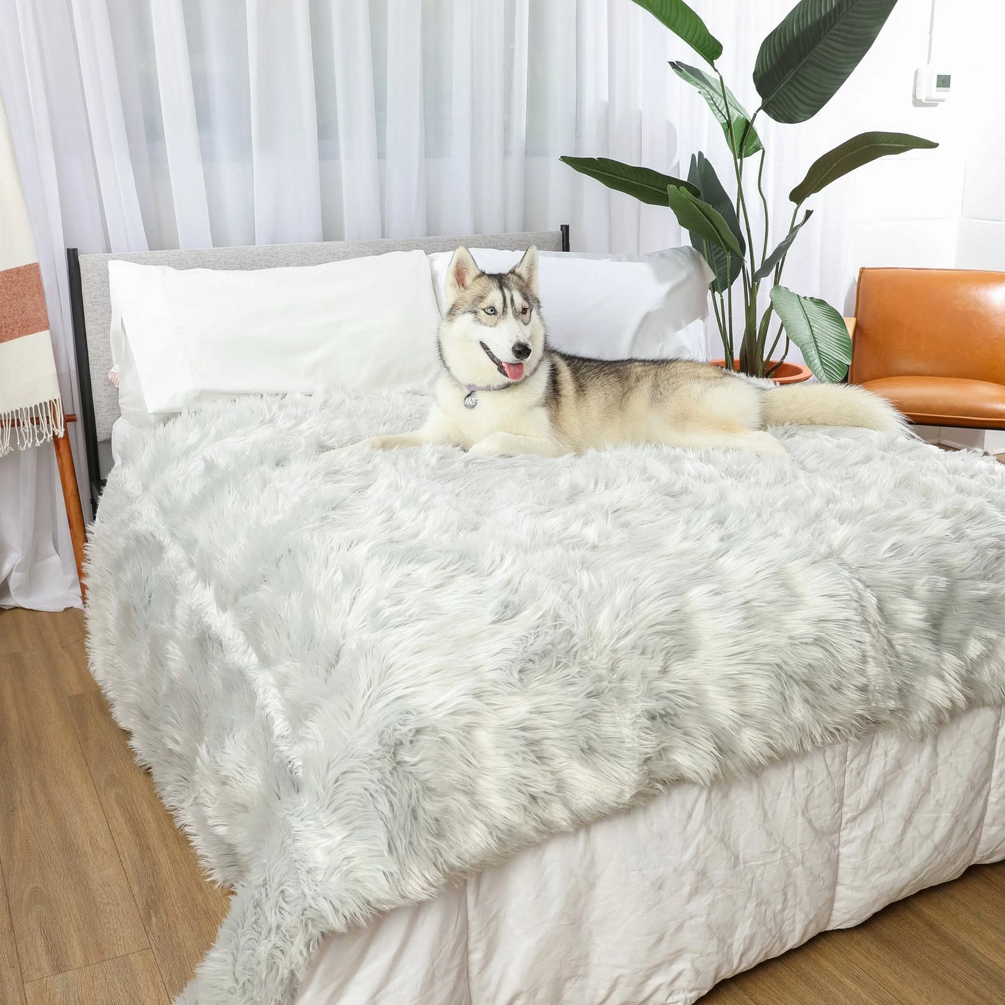 PupProtector™ Waterproof Throw Blanket - Grey Paw.com