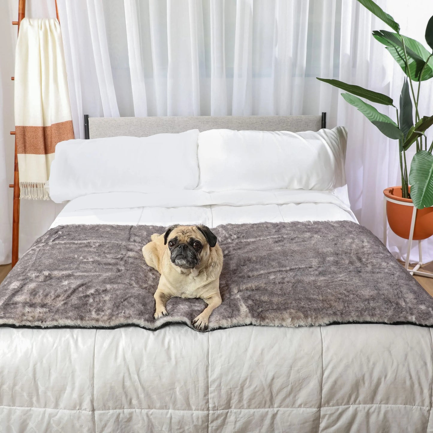 PupProtector™ Luxe Waterproof Bed Runner - Ultra Soft Chinchilla Paw.com
