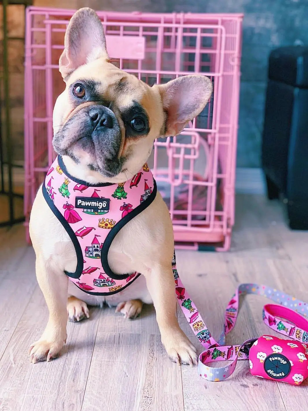 Fairytail Leash Kit Pawmigo
