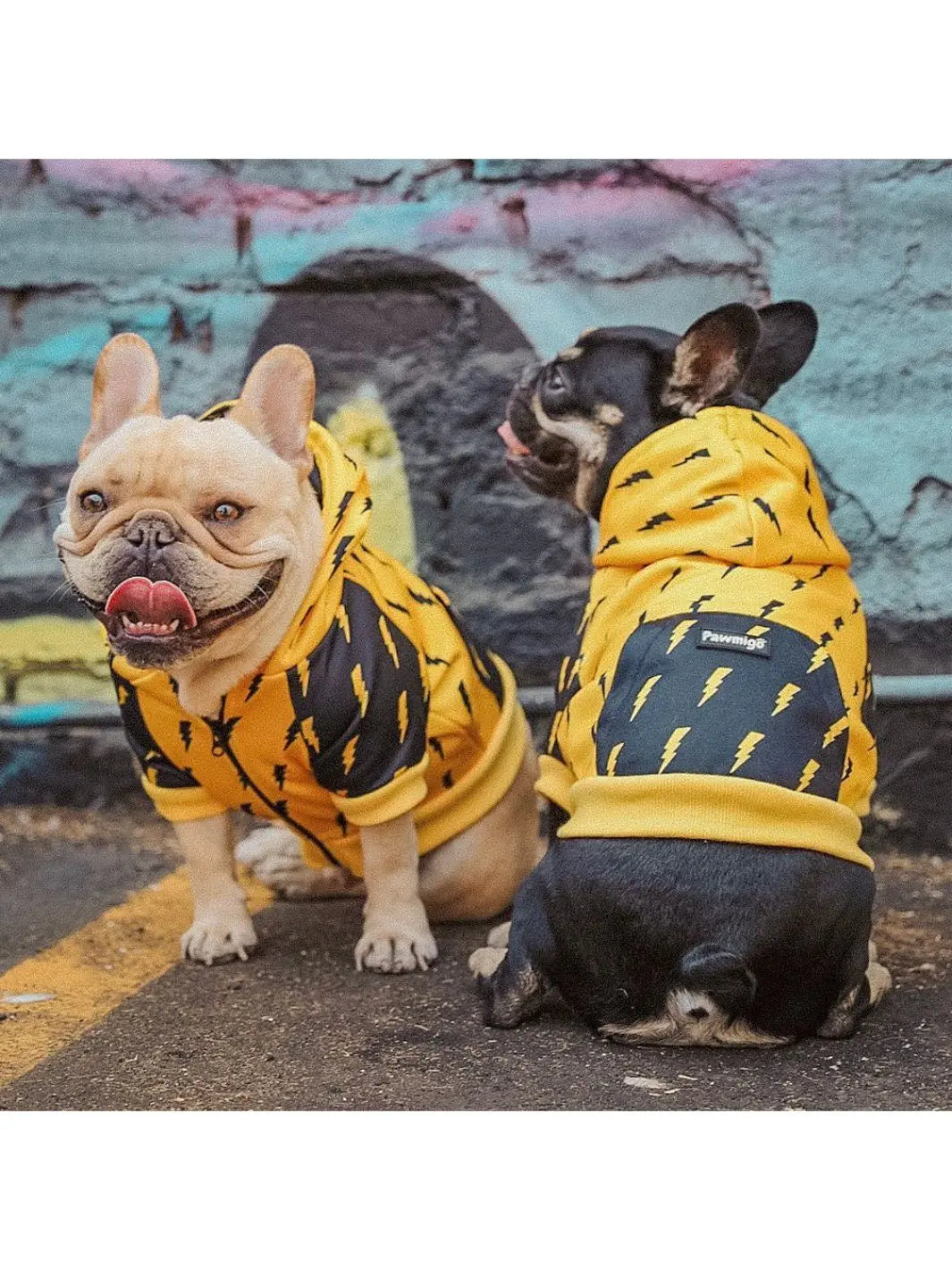 Pawgwarts Hoodie Pawmigo