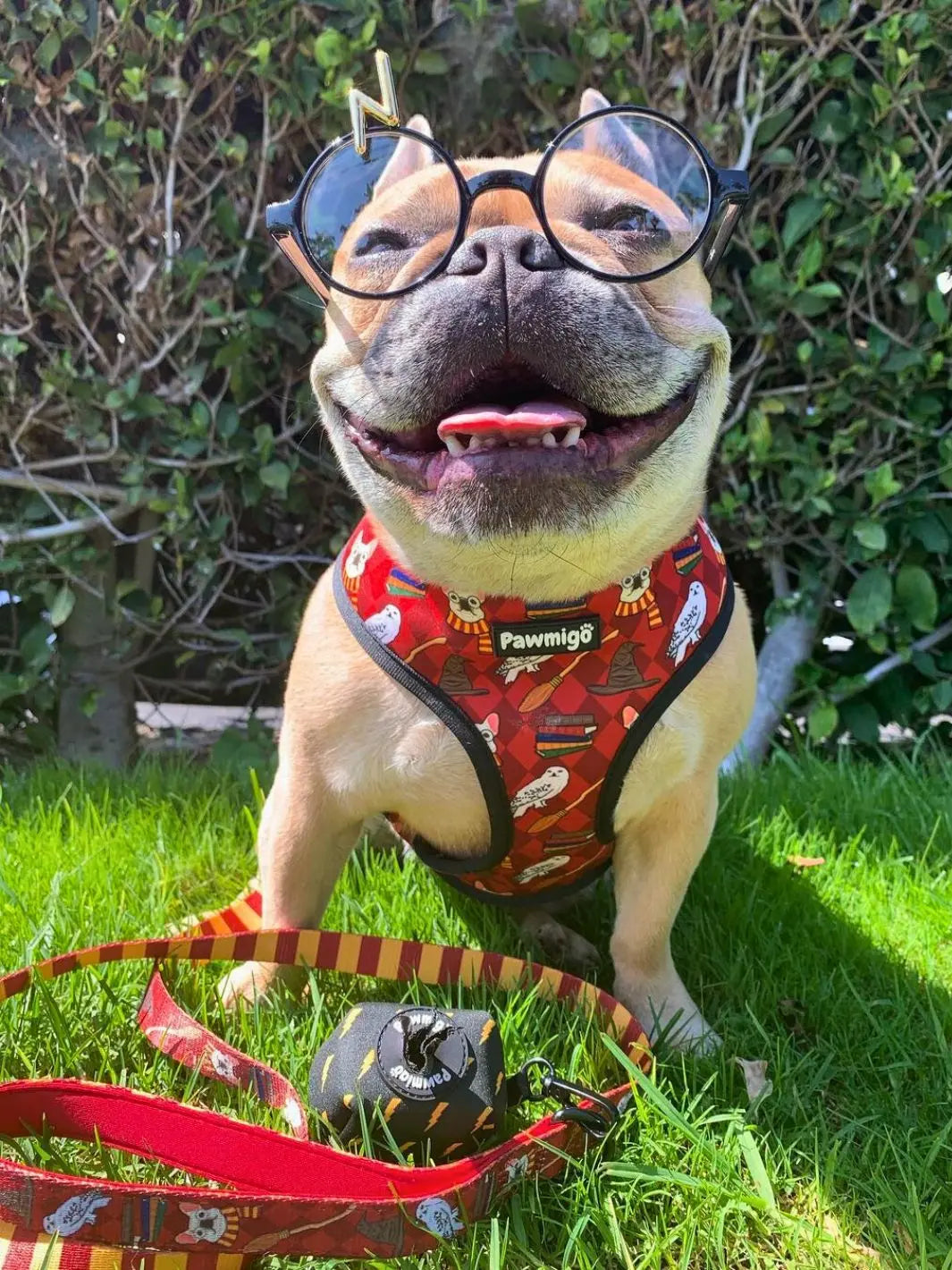 Pawgwarts Leash Kit Pawmigo