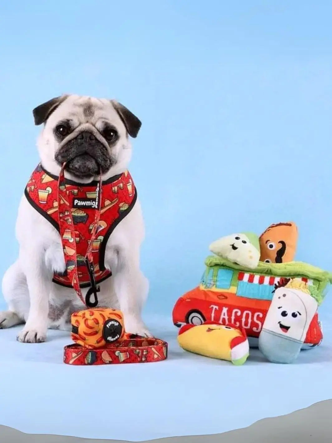 Taco Tuesday Leash Kit Pawmigo