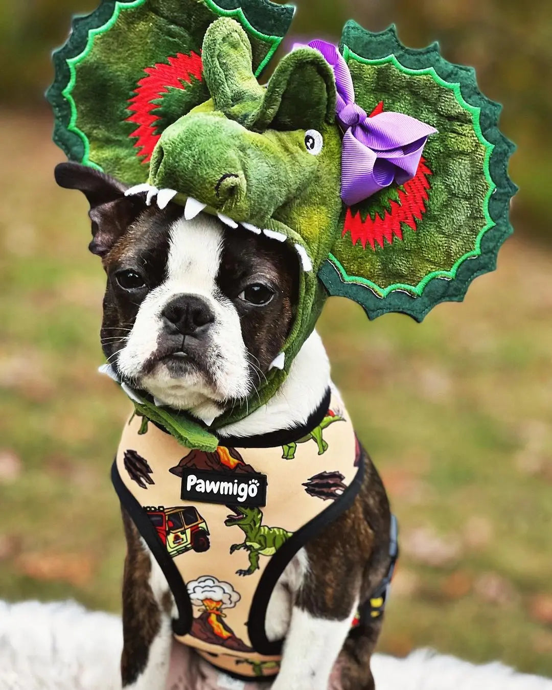 Jurassic Bark Reversible Harness Pawmigo