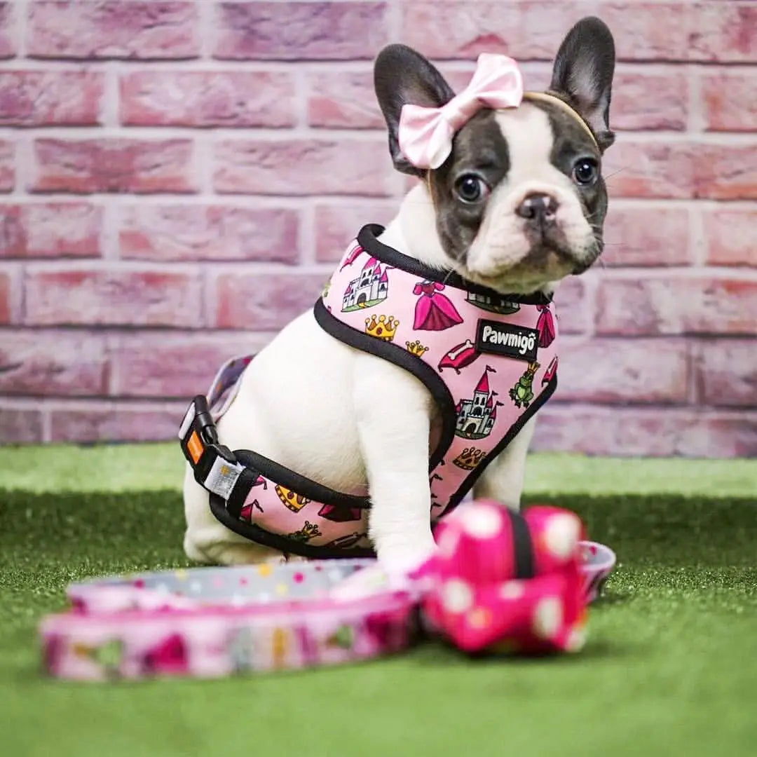 Fairytail Reversible Harness Pawmigo