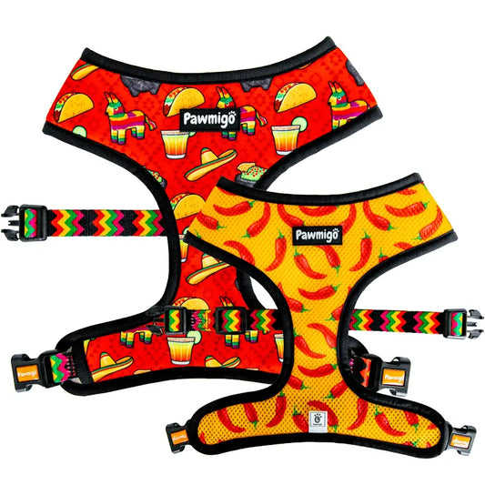 Taco Tuesday Reversible Harness Pawmigo