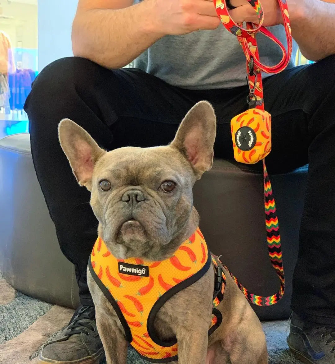 Taco Tuesday Reversible Harness Pawmigo