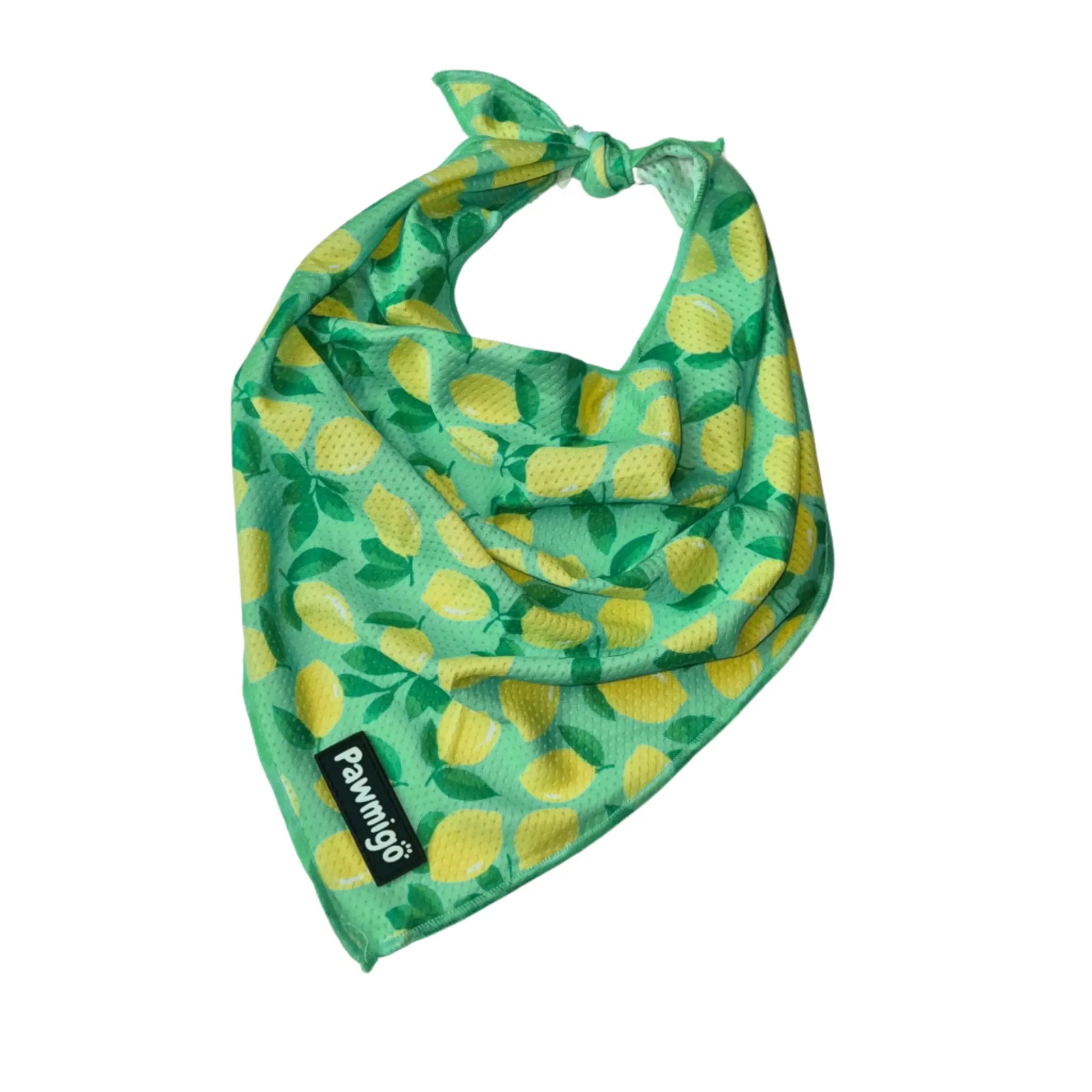 Worth The Squeeze Cooling Bandana Pawmigo