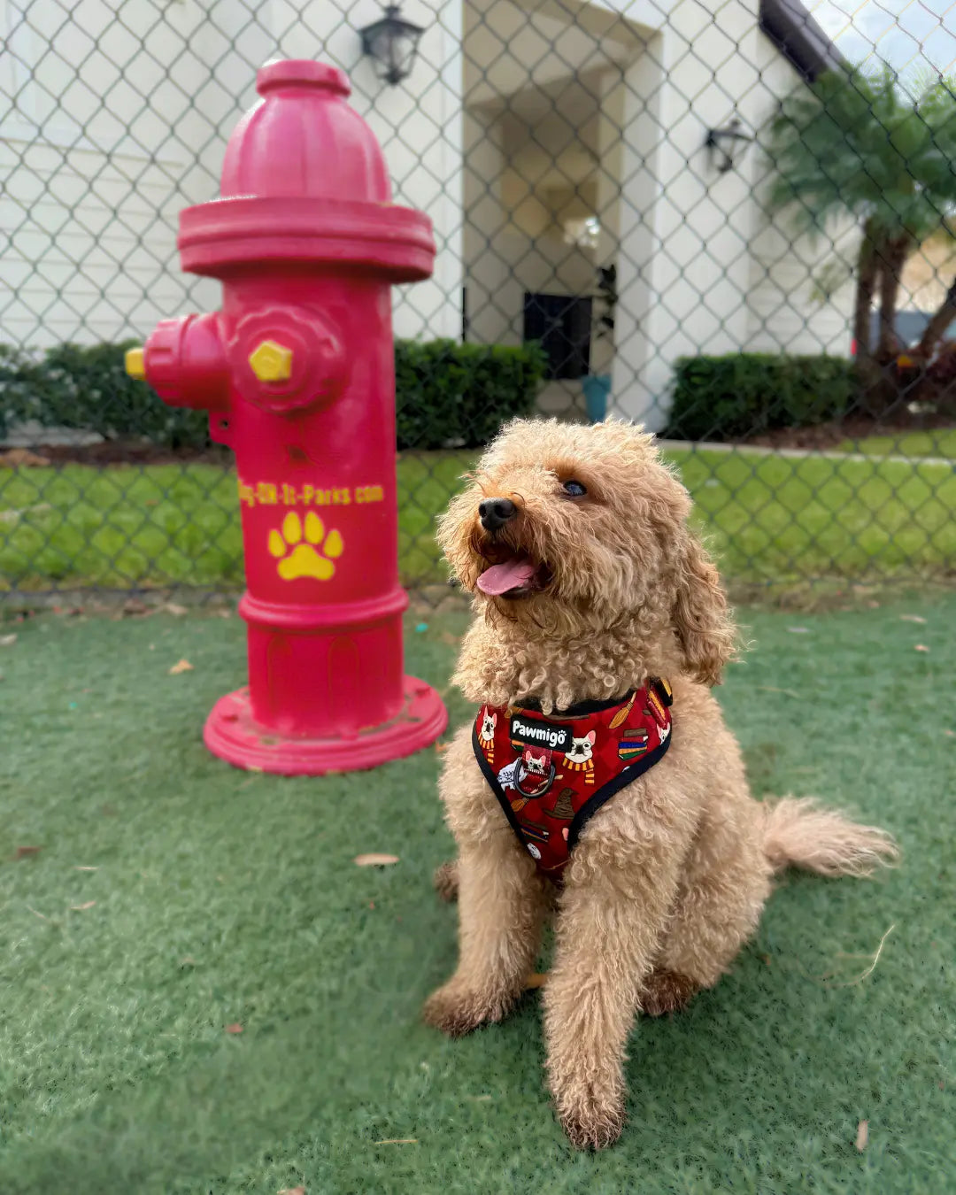 Pawgwarts Everyday Adjustable No-Pull Dog Harness Pawmigo