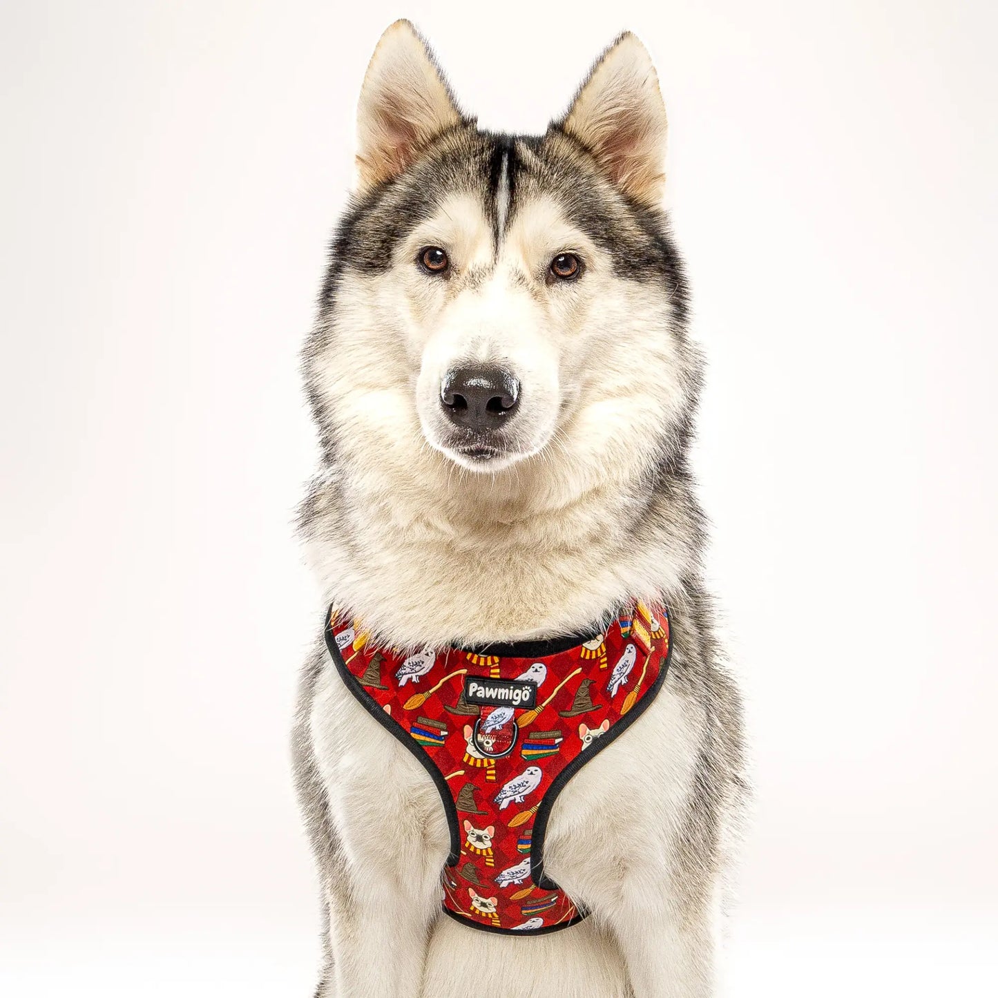 Pawgwarts Everyday Adjustable No-Pull Dog Harness Pawmigo