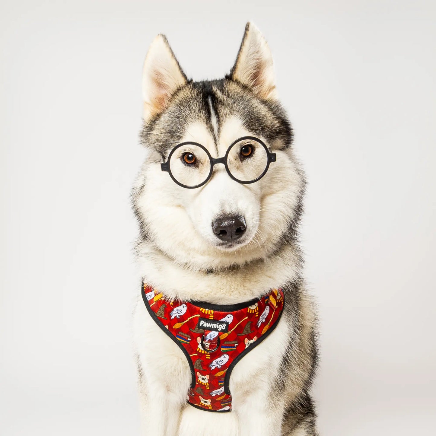 Pawgwarts Everyday Adjustable No-Pull Dog Harness Pawmigo
