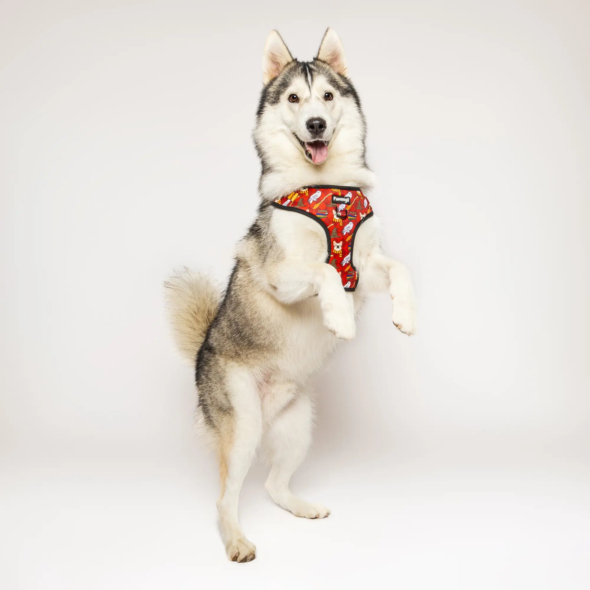 Pawgwarts Everyday Adjustable No-Pull Dog Harness