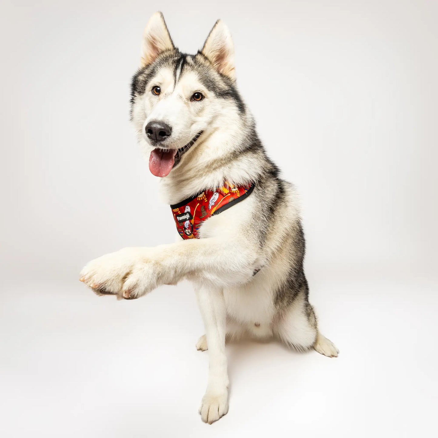 Pawgwarts Everyday Adjustable No-Pull Dog Harness Pawmigo