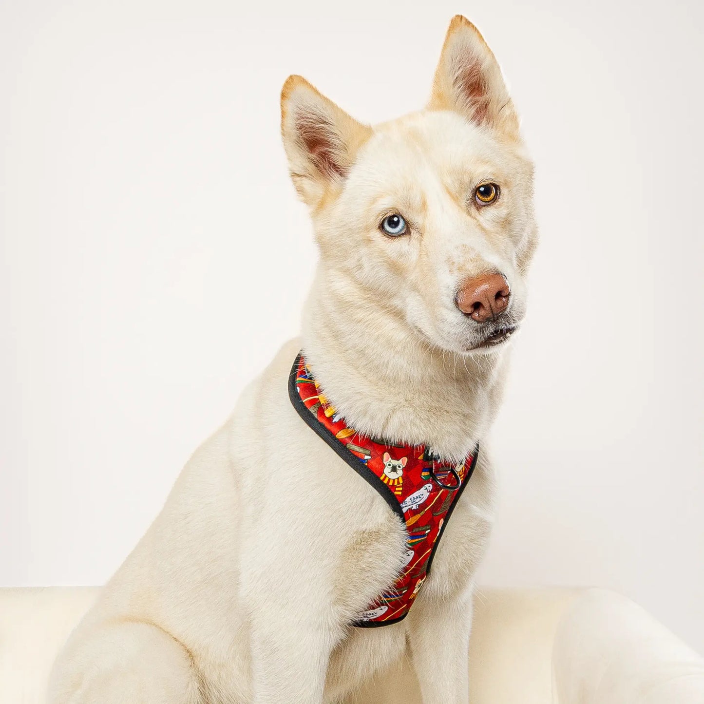 Pawgwarts Everyday Adjustable No-Pull Dog Harness Pawmigo