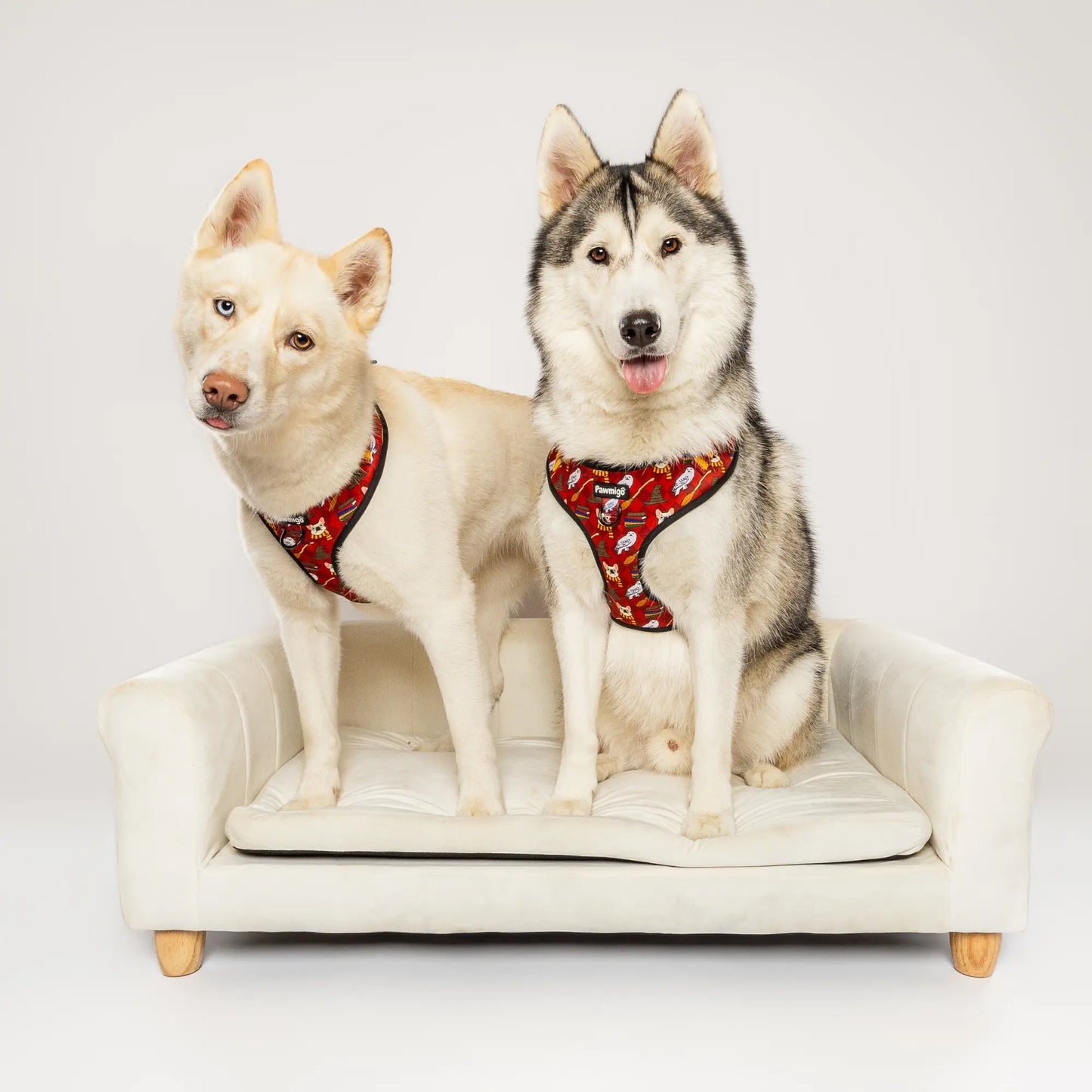 Pawgwarts Everyday Adjustable No-Pull Dog Harness Pawmigo