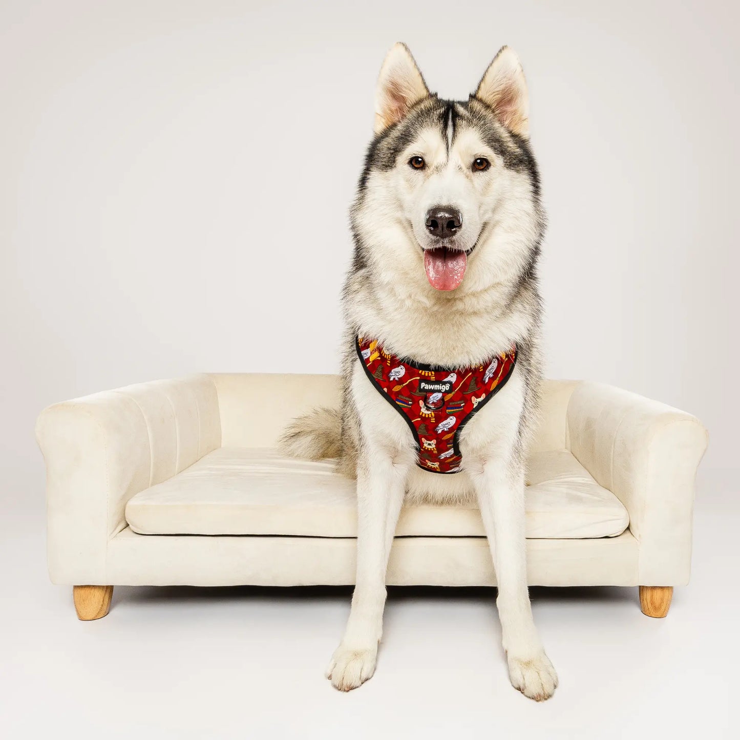 Pawgwarts Everyday Adjustable No-Pull Dog Harness Pawmigo