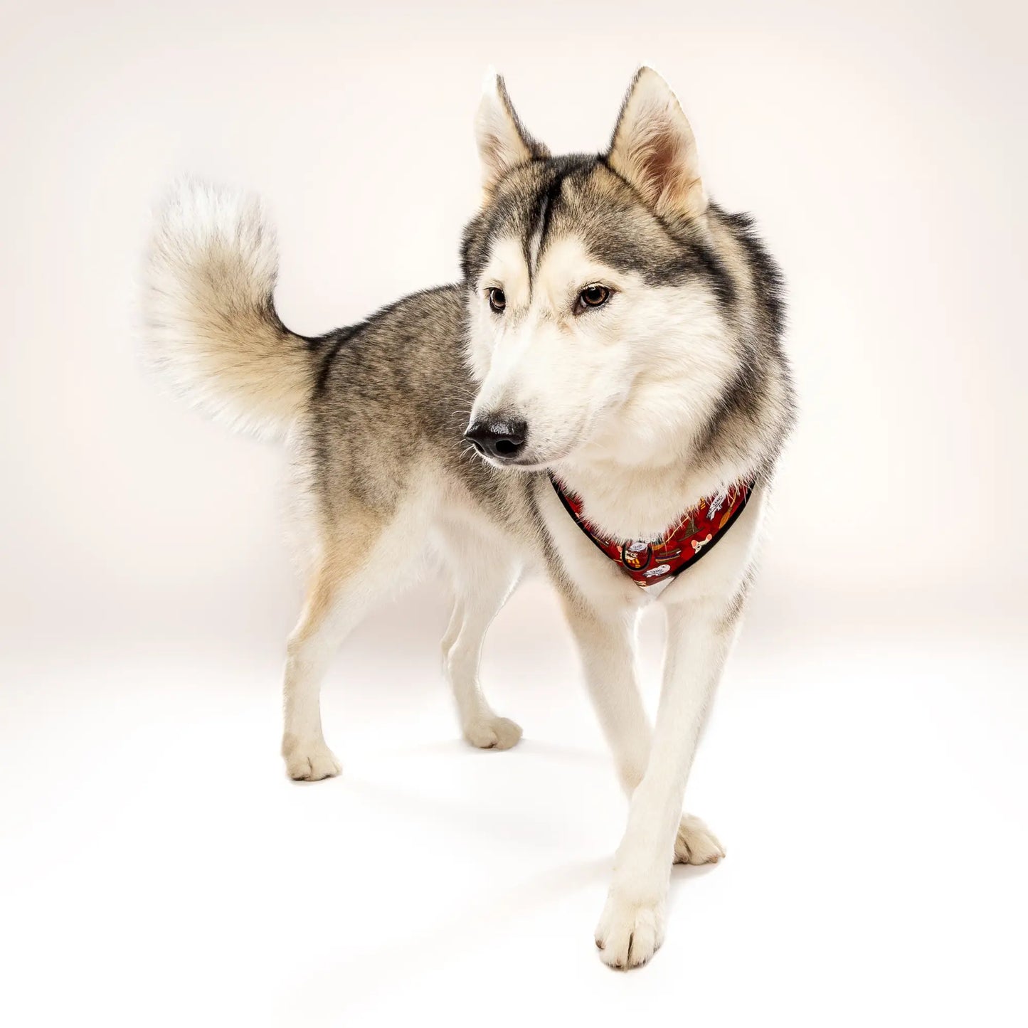 Pawgwarts Everyday Adjustable No-Pull Dog Harness Pawmigo
