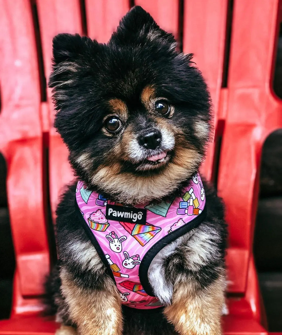 Slumber Pawty Reversible Harness Pawmigo