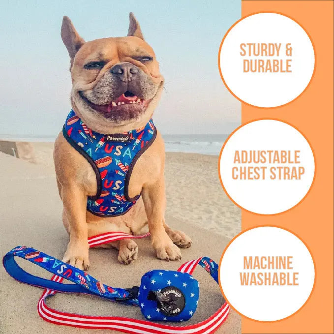 Lumbersnack Reversible Harness Pawmigo