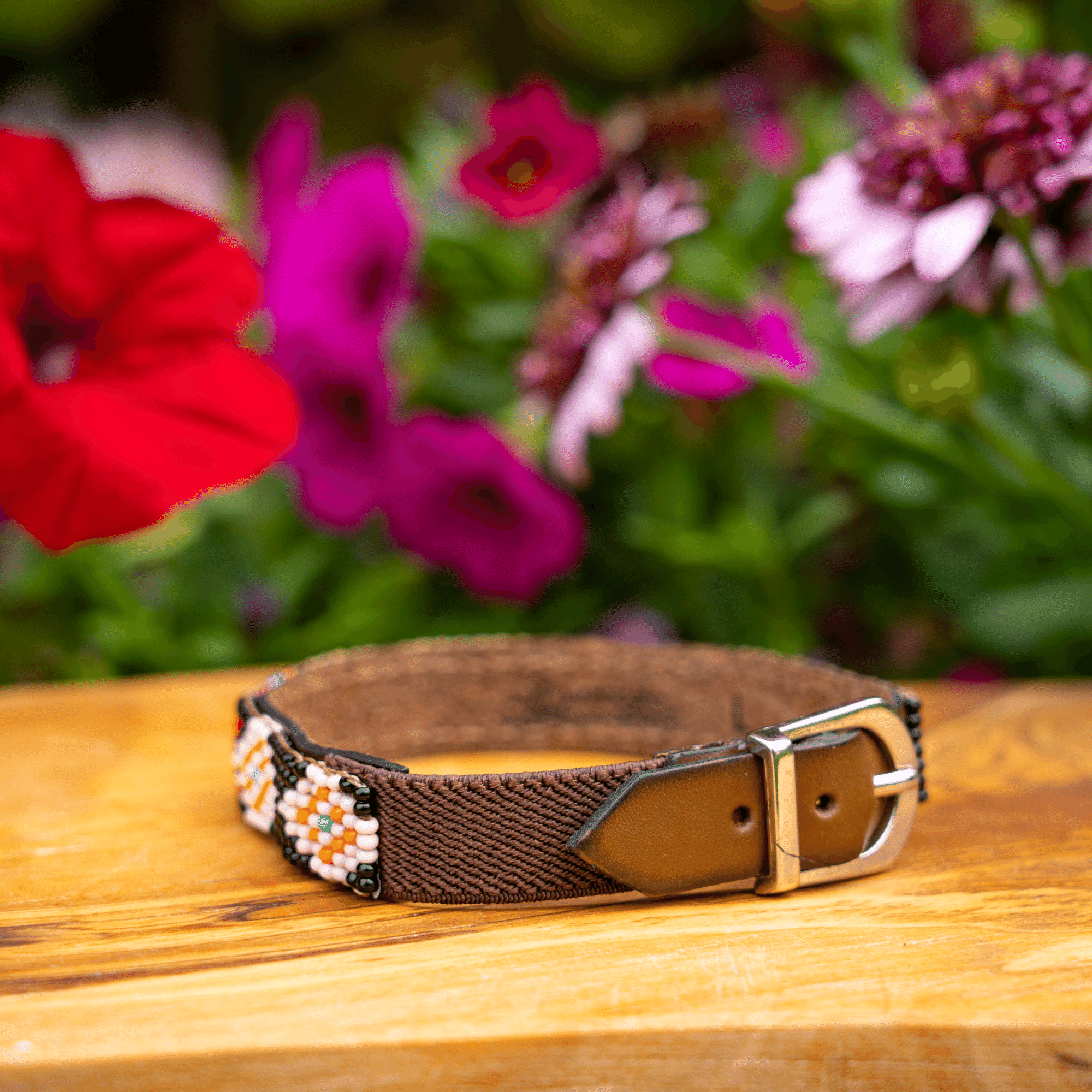 Phoenix Sambboho cat collar