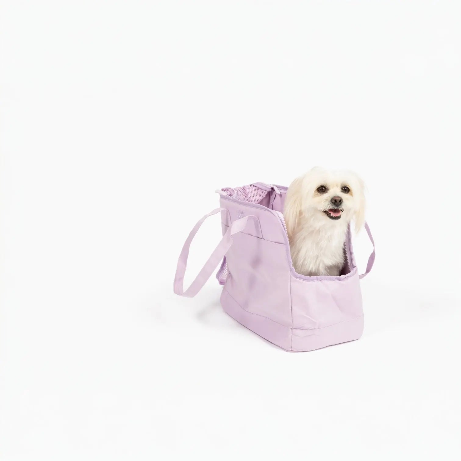 Come Here Buddy Pet Tote Bag - K9 Outdoors