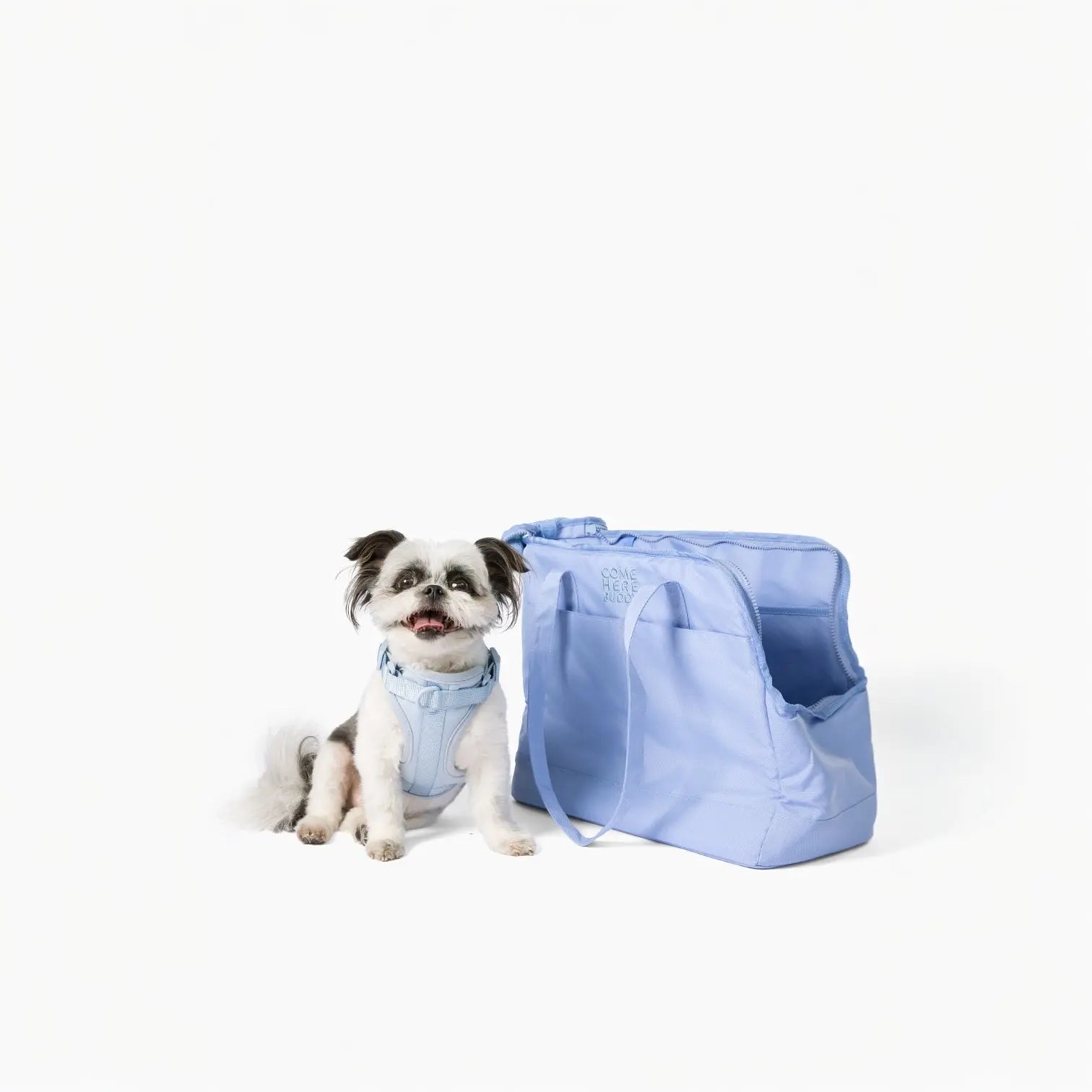 Come Here Buddy Pet Tote Bag - K9 Outdoors