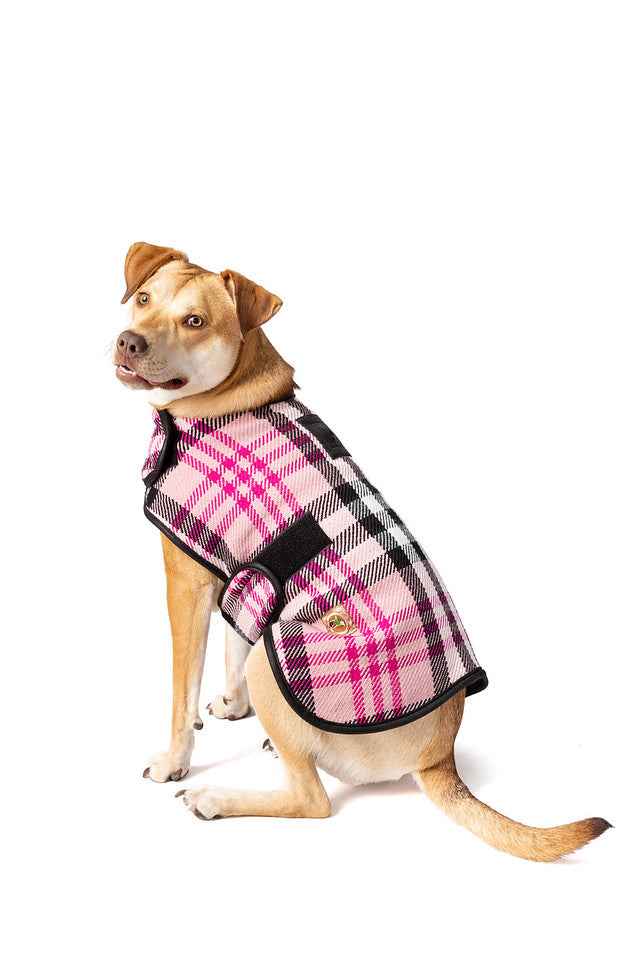 Pink Plaid Blanket Dog Coat