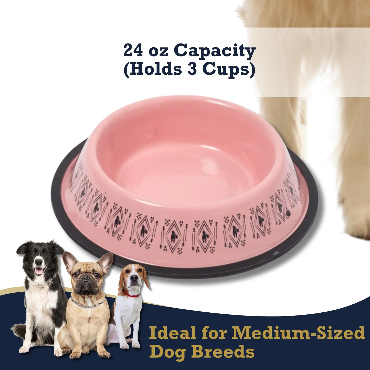 Non-Skid Boho Stainless Steel Dog Bowl – with Whimsical Unicorn Design, Silicone Base for Medium Dogs – 24oz American Pet Supplies
