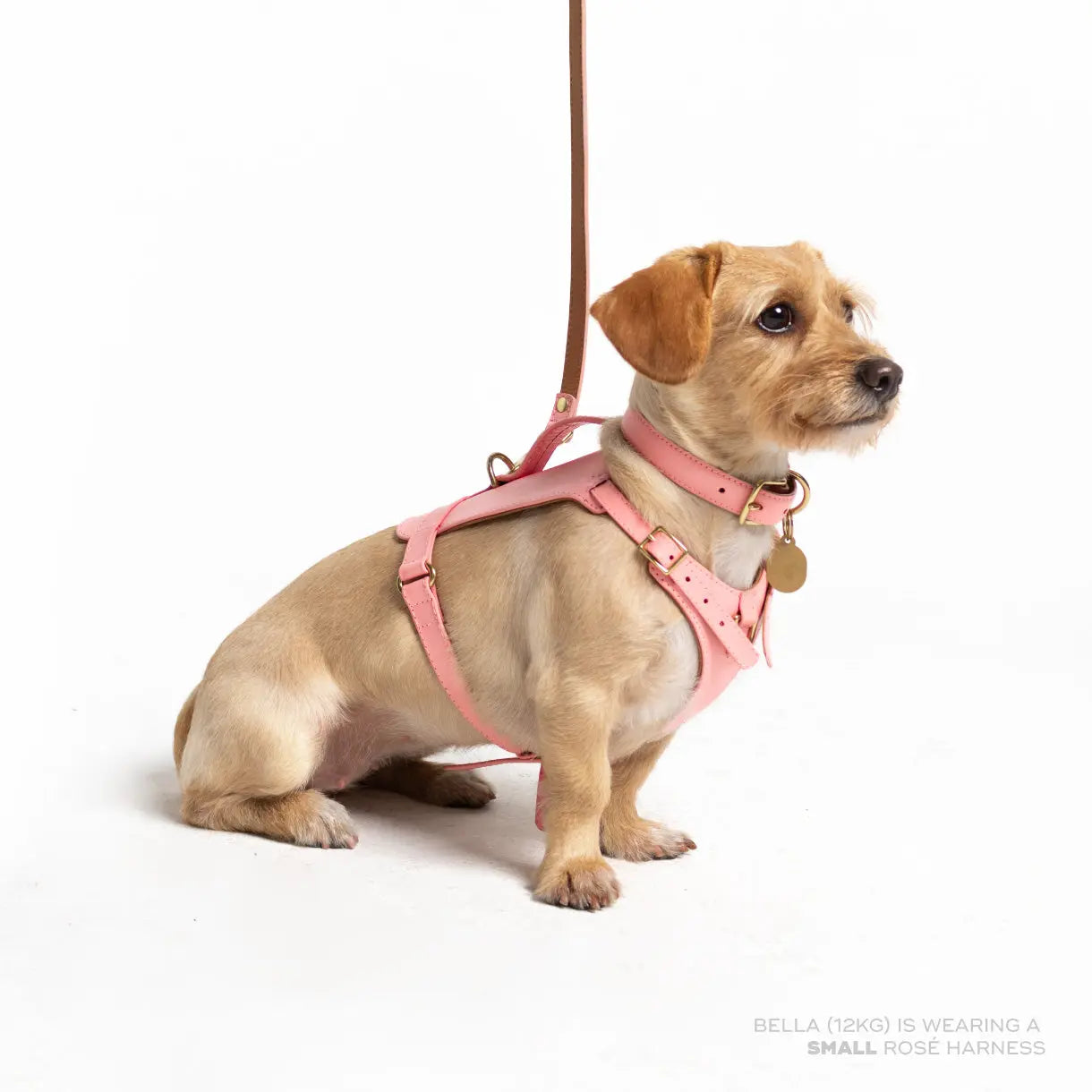 Rosè Heritage Harness Ramona For You