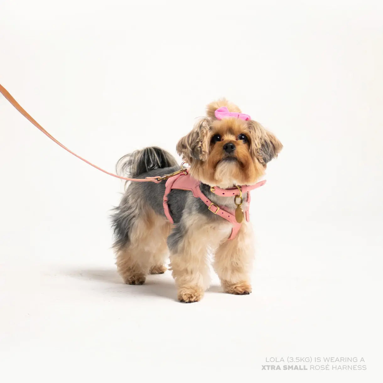 Rosè Heritage Harness Ramona For You