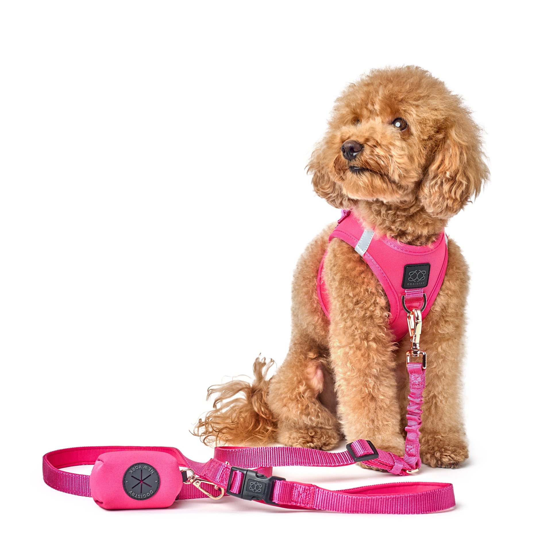 Poop Bag Holder - Park Ave Pink Dogistry™
