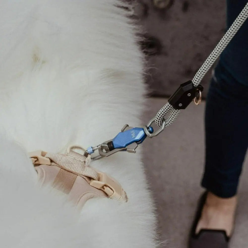 Patented Magnetic Dog Leash - One-Hand Connect & Release Up Dog Shop