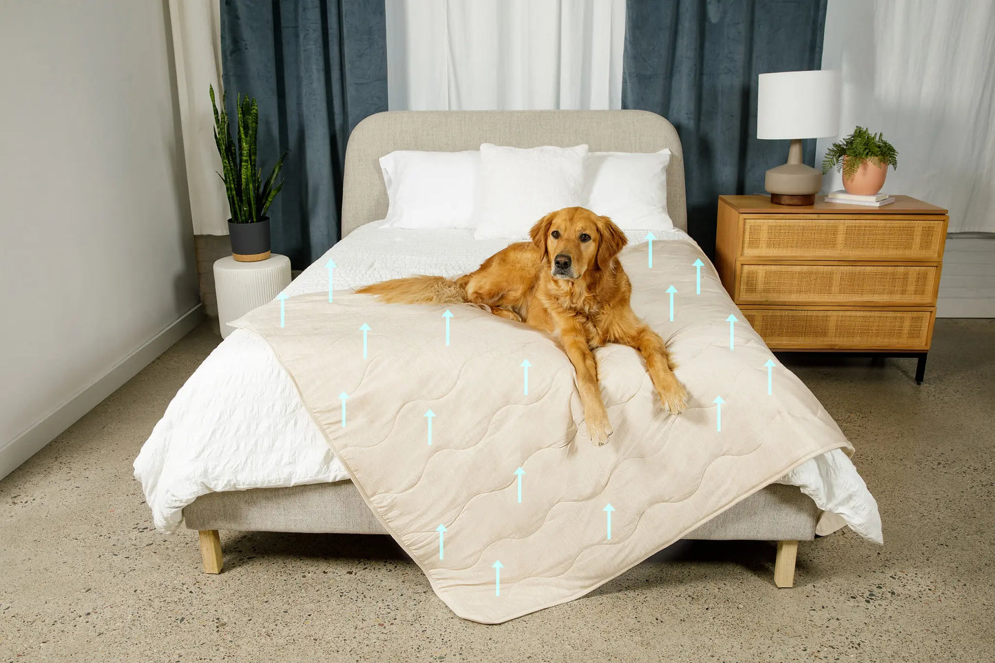 PupChill™ Cooling Waterproof Blanket - Arctic Sand Paw.com