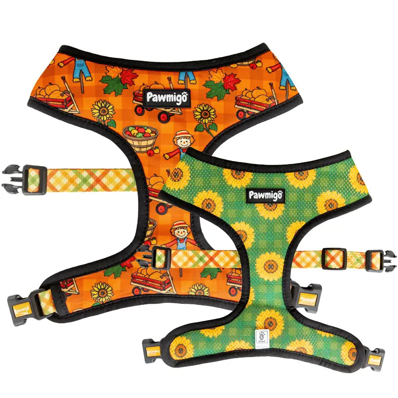 Pupkin Patch Reversible Harness Pawmigo