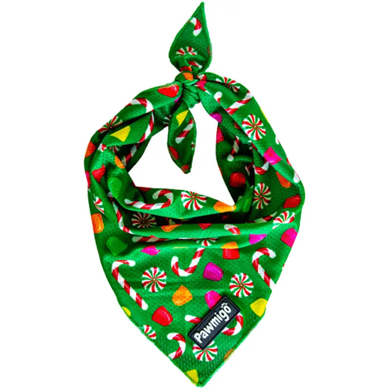 Puppermint Cooling Bandana Pawmigo