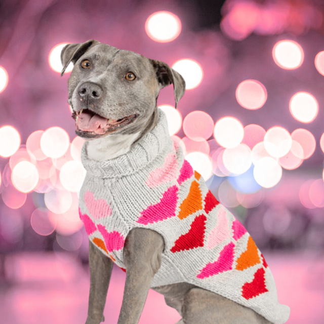Puppy Love Dog Sweater