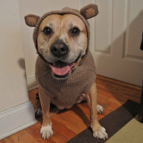 Monkey Hoodie Dog Sweater